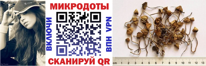 Псилоцибиновые грибы мицелий  Лесосибирск 